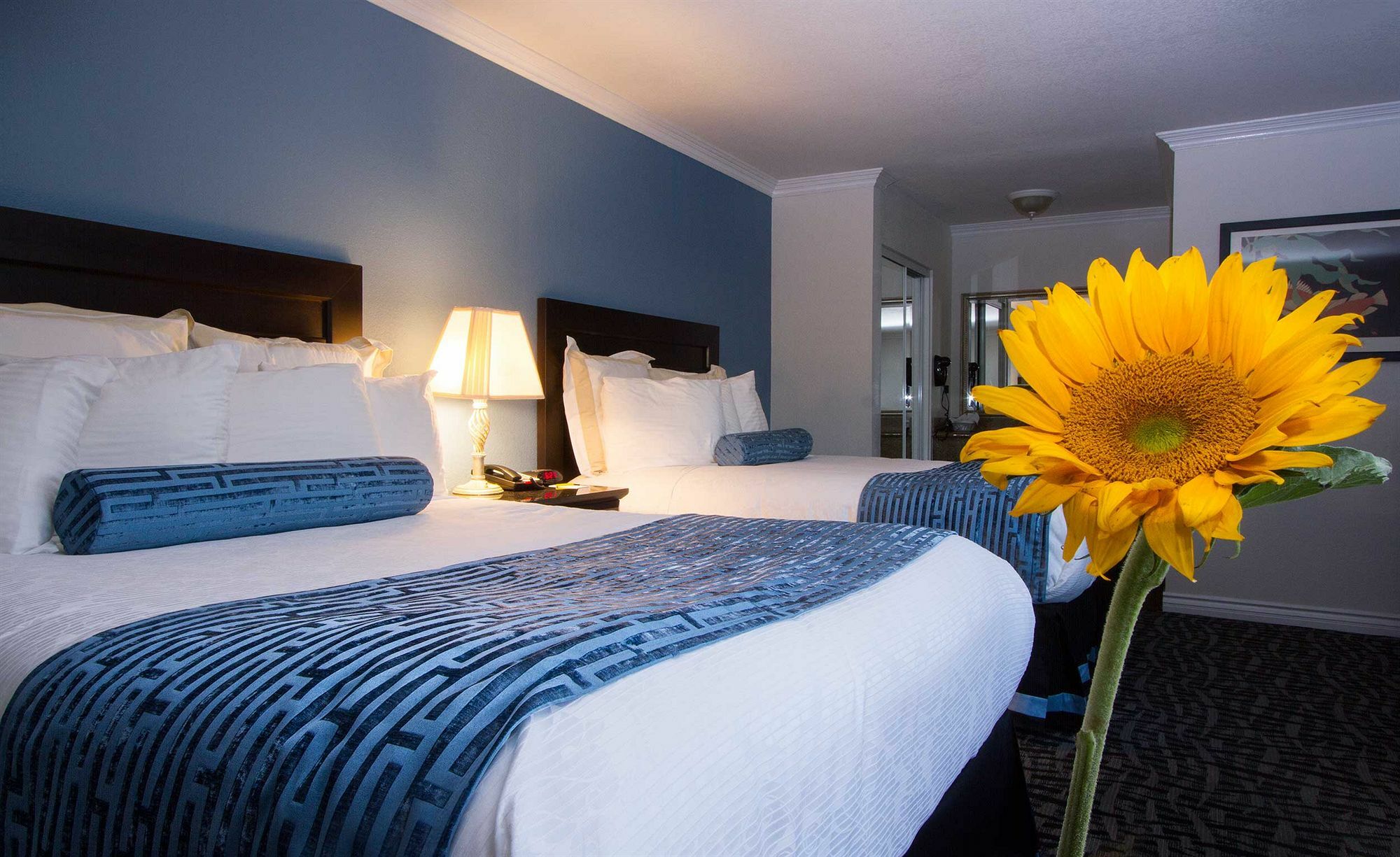 Regency Inn In Los Angeles Zewnętrze zdjęcie
